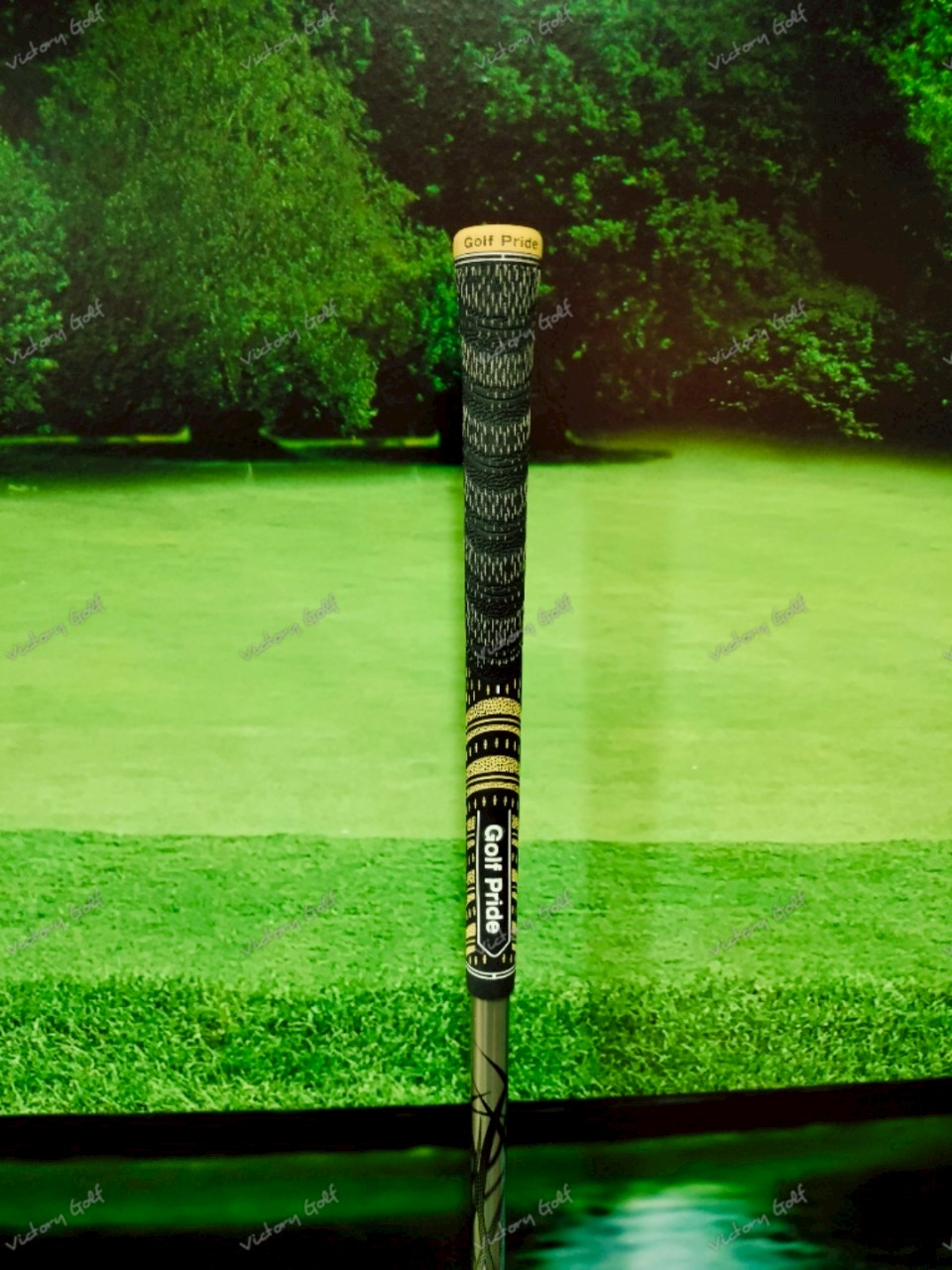 Driver Progress BB6 Endless Ambition 9.5 ( Basileus )/ ( SR )