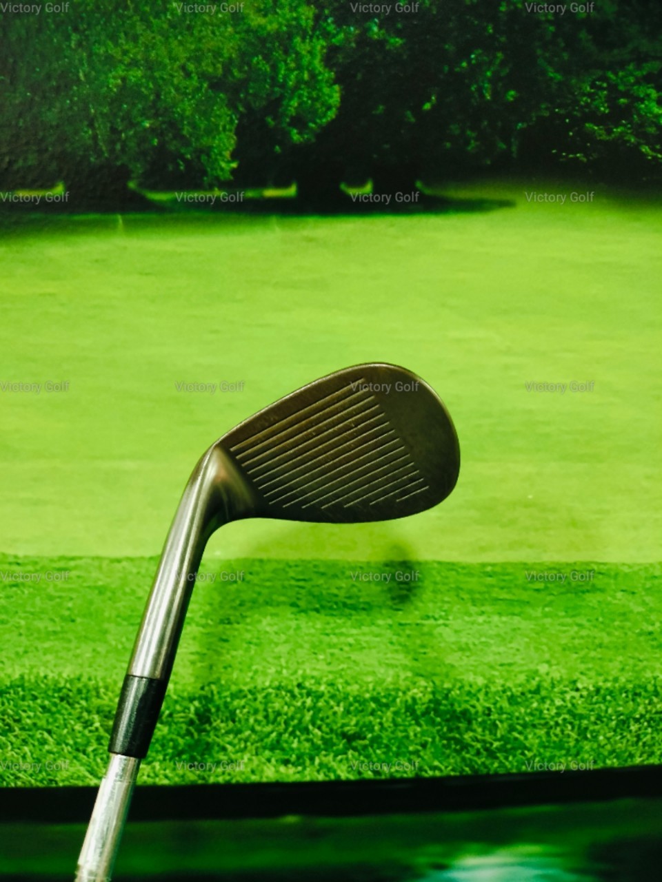 Wedge Trance of Golf 906-A Lw (Dynamic Gold S300)