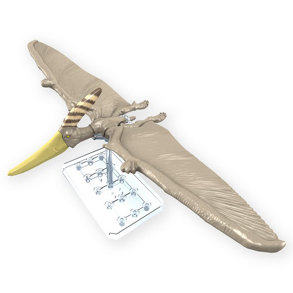 Bandai PLANNOSAURUS Pteranodon 4573102662828 (Plastic Model)