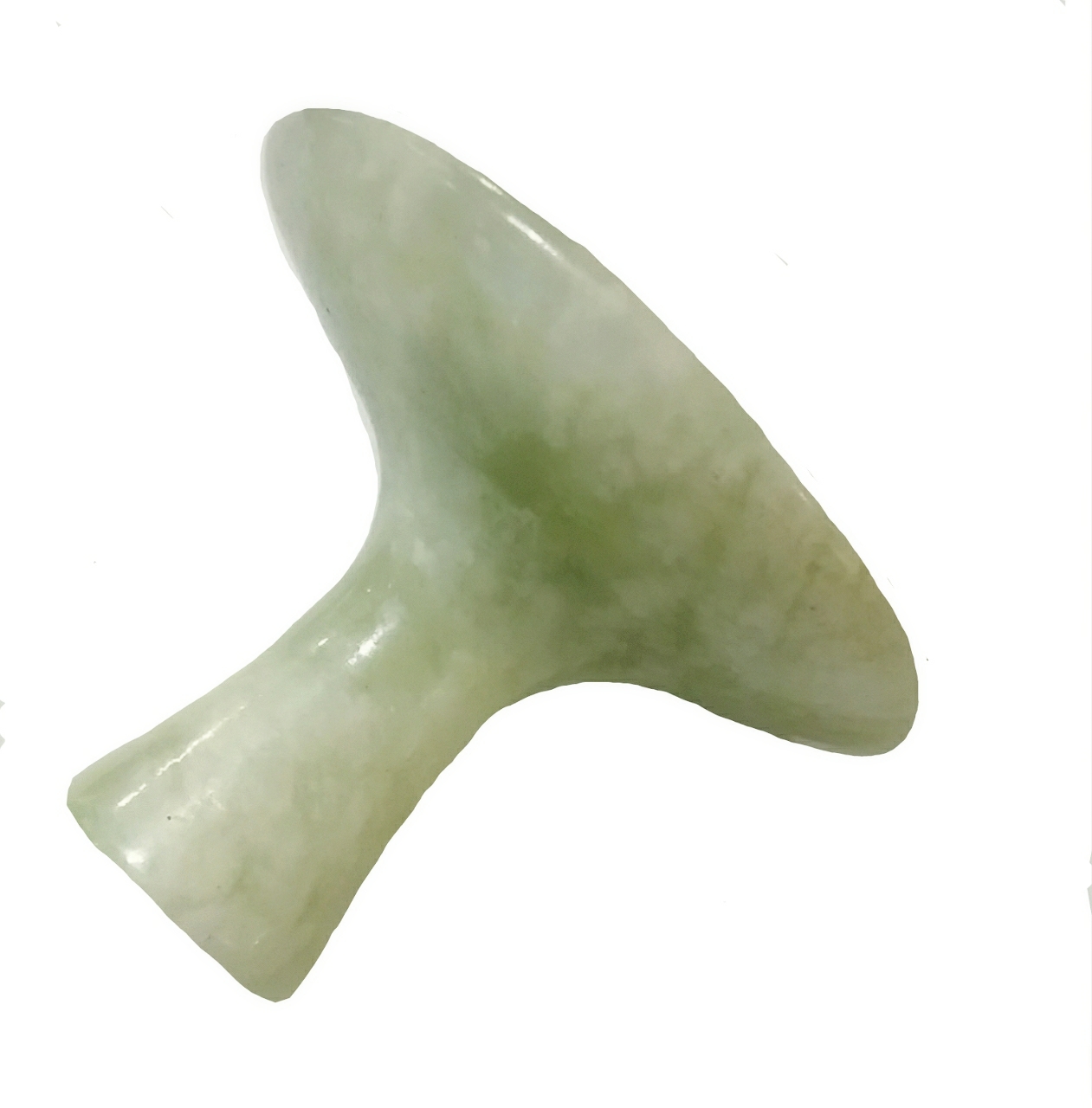 กัวซาเห็ดโคนหยกนวดหน้า ( Jumbo Jade Mushroom Gua Sha )