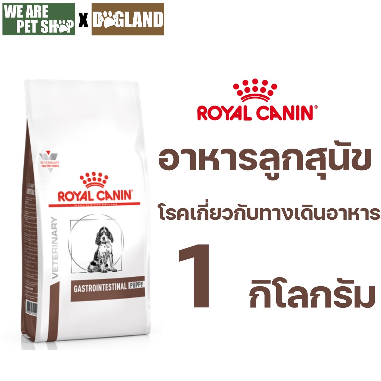 GASTROINTESTINAL PUPPY สุนัข 1 กก.