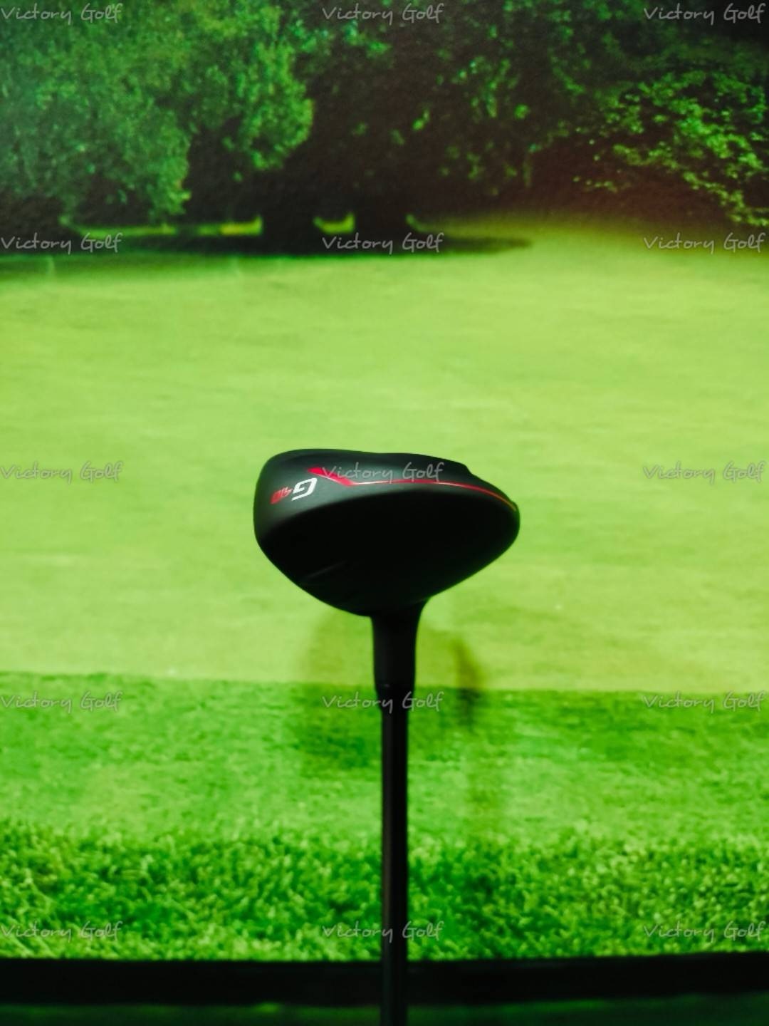 Ut. Ping G410 ( 3/19 ) Alta J CB ( Flex: S )