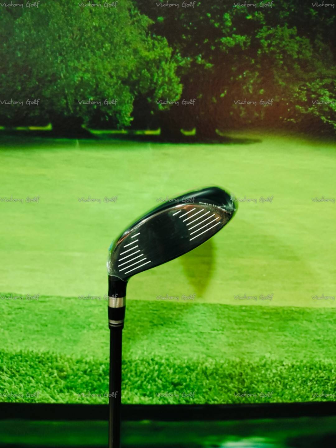 Fairway Ryoma Maxima W.5 ( Special Tuning ) ( Tour AD/ R )