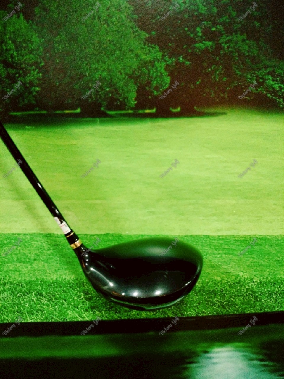 Driver Mystery Royal ll Loft.10.5 CF-460HT (Fire Express / R) หน้าเด้งเกินกฏ