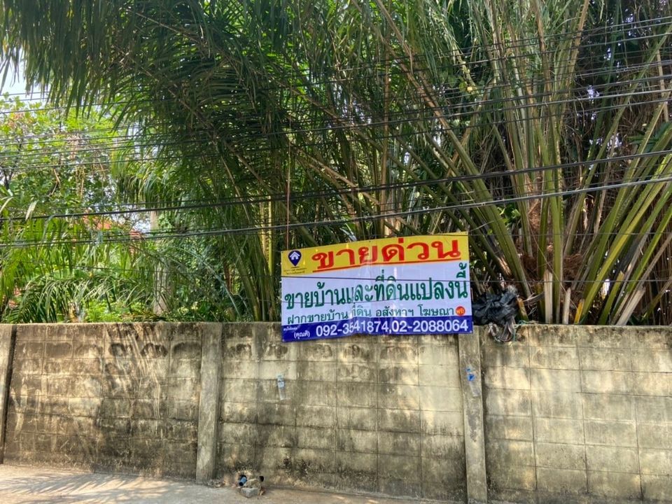 ขายที่ดินซอยติวานนท์41 (รหัสทรัพย์202142) ต.ท่าทราย อ.เมือง จ.นนทบุรี ขนาด 111 ตรว. หน้ากว้าง 20 เมตร ลึก 25 เมตร ถนนด้านหน้าที่ดินเป็นถนนคอนกรีต เข้าจากปากซอยติวานนท์ ประมาณ 200 เมตร ที่ดินล้อมรั้ว เหมาะปลูกบ้าน