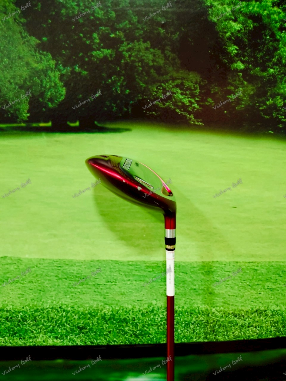 Fw. Honma Beres 3-Star 3/15 ( ARMRQ 3-Star )/ (R)