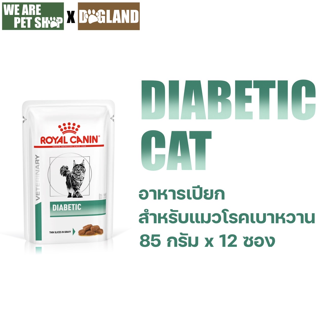 DIABETIC แมวโรคเบาหวาน ชนิดเปียก 85g x 12 ซอง
