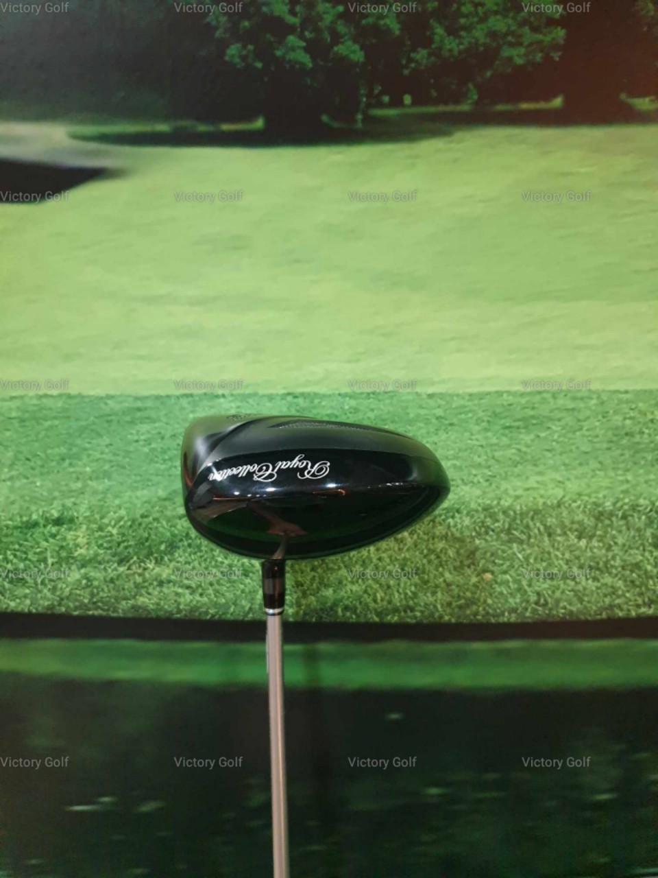 Driver Royal Collection Extra Vintage Premium 10.5 (Bassara) / (R)