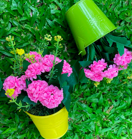 ดอกไม้ ในกระถางสังกะสีสดใส สำหรับตั้ง ตกแต่งโต๊ะทำงาน