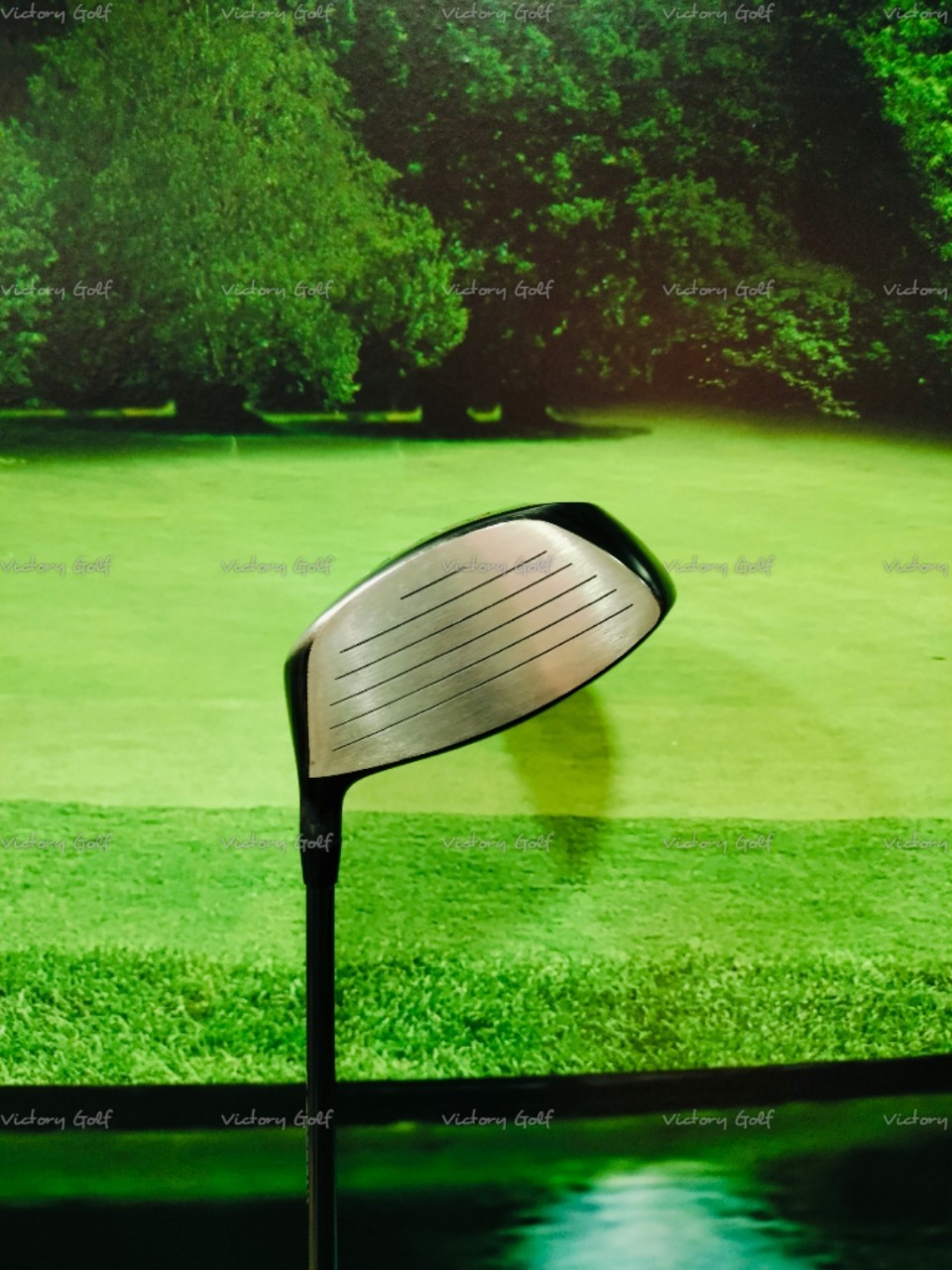 Driver Crazy 460 Special Tuning (หน้าเด้ง) loft 9.5 (VENTUS Fujikura) Flex : S