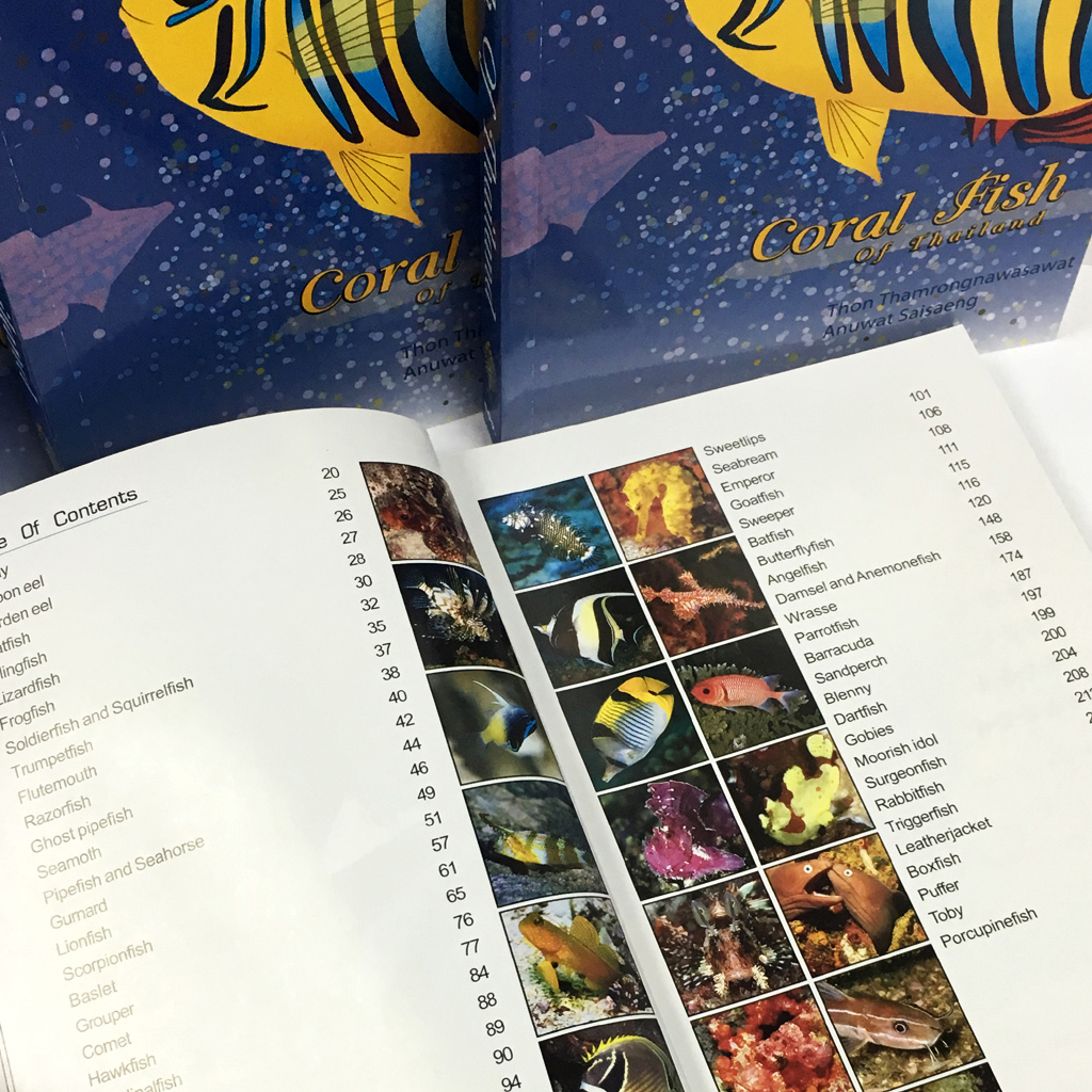 Coral Fish of Thailand