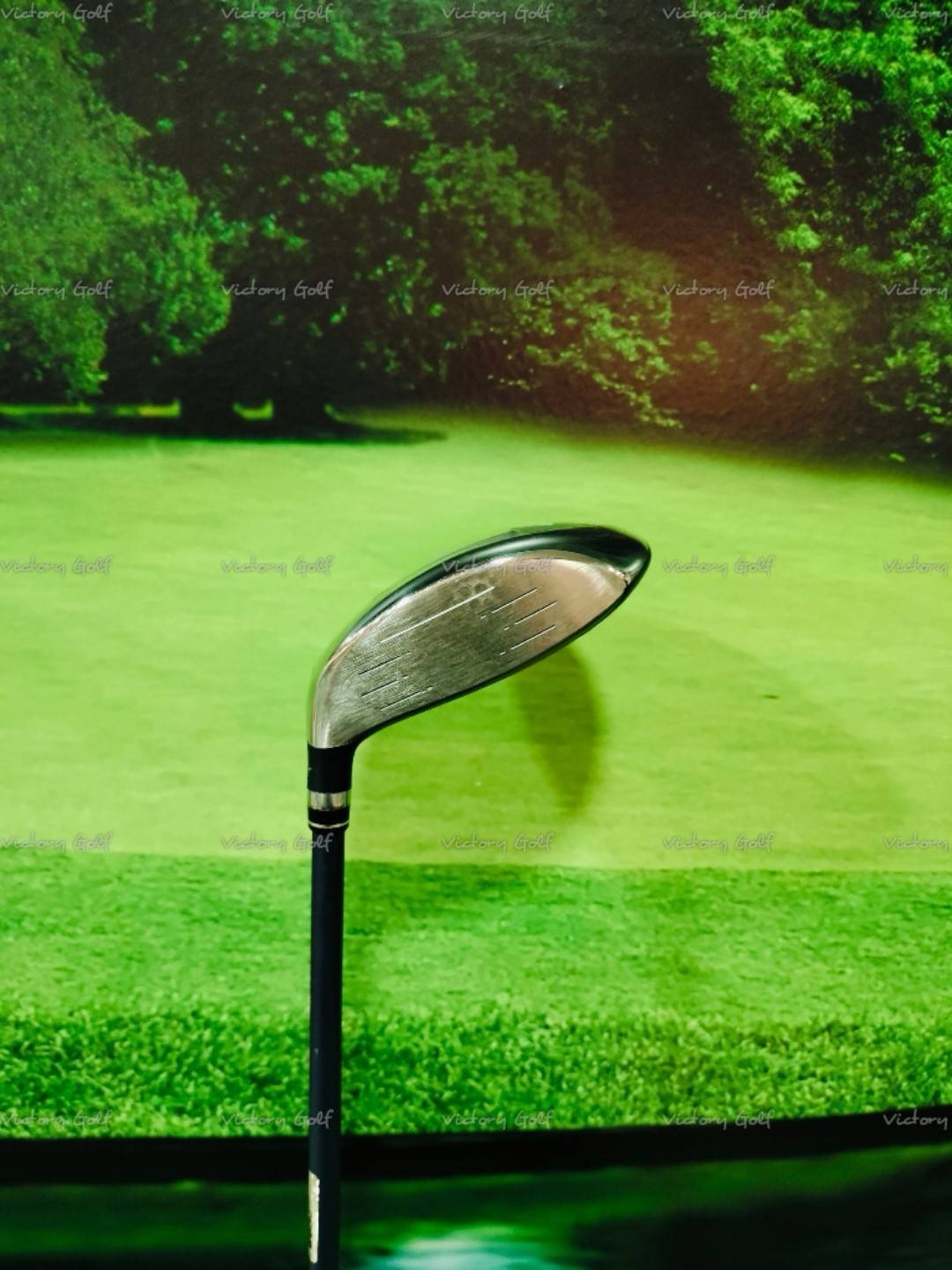 Fairway PRGR SWEEP 4/18 (SWEEP PRGR) / (L)