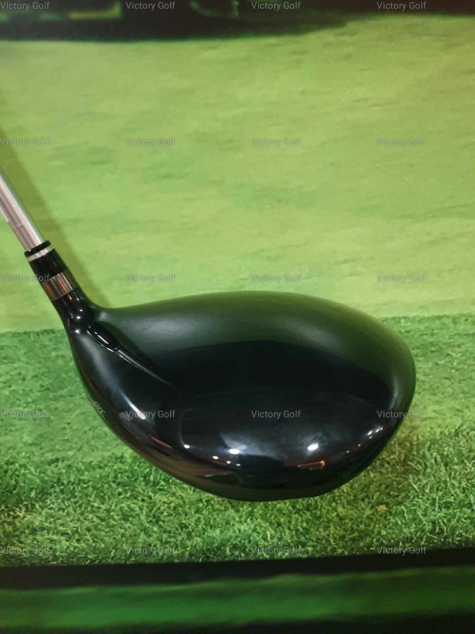 Driver Royal Collection Extra Vintage Premium 10.5 (Bassara) / (R)