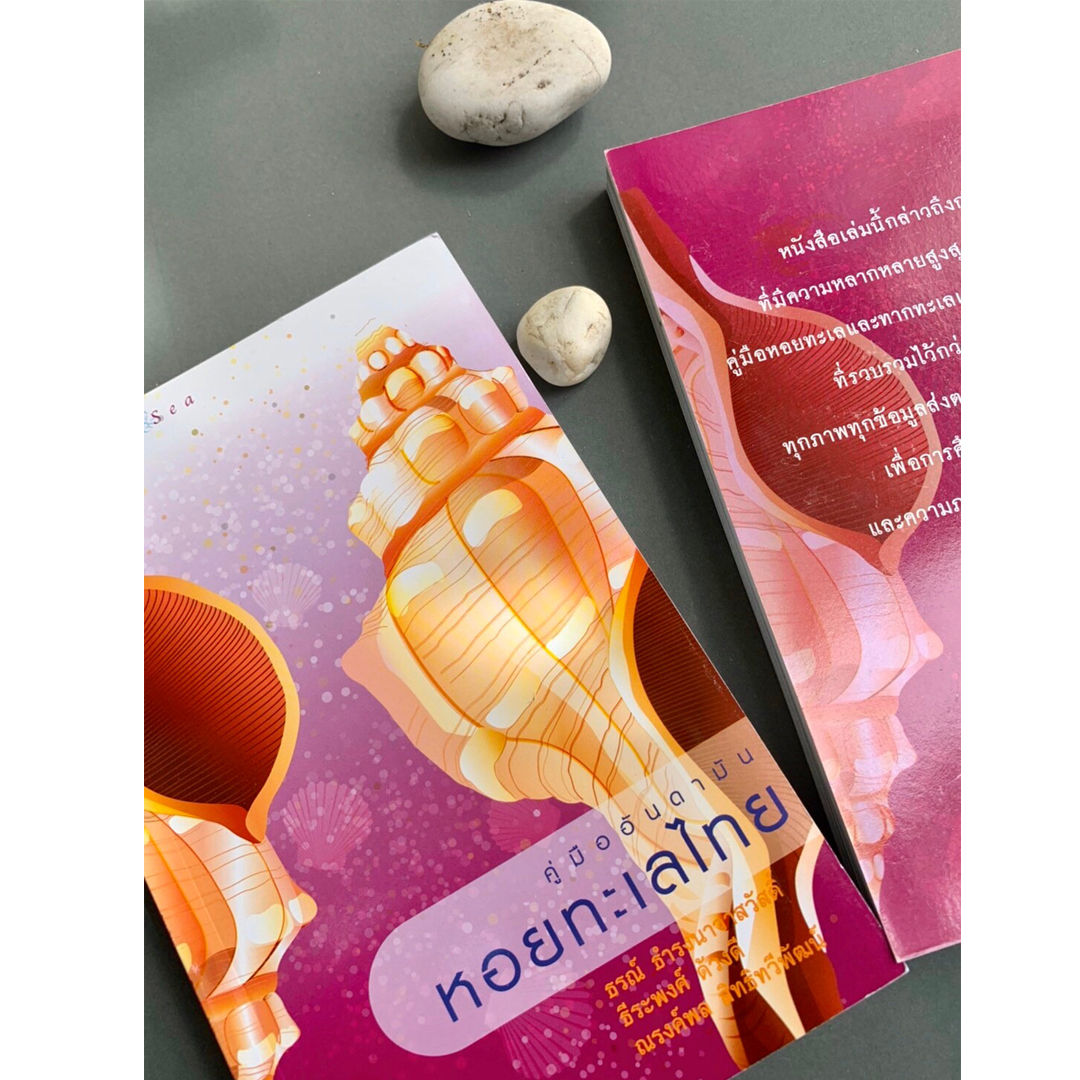 คู่มืออันดามัน หอยทะเลไทย