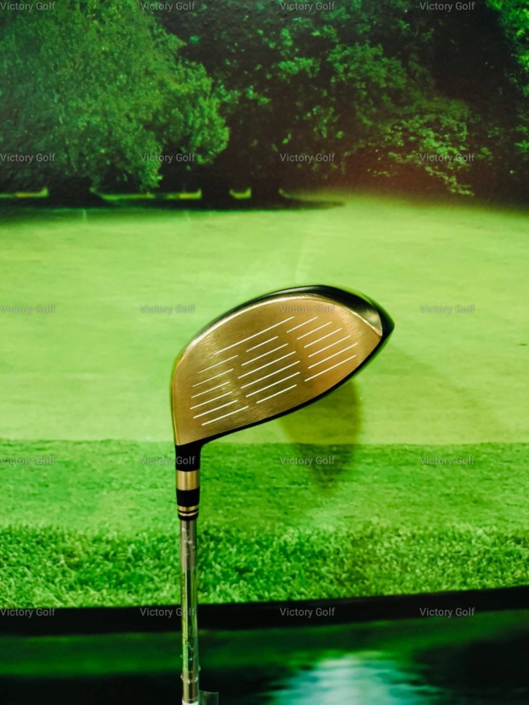 Driver Ryoma D-1 Maxima Type-G 11.5 (Beyond powder) / (Flex : Infinity)