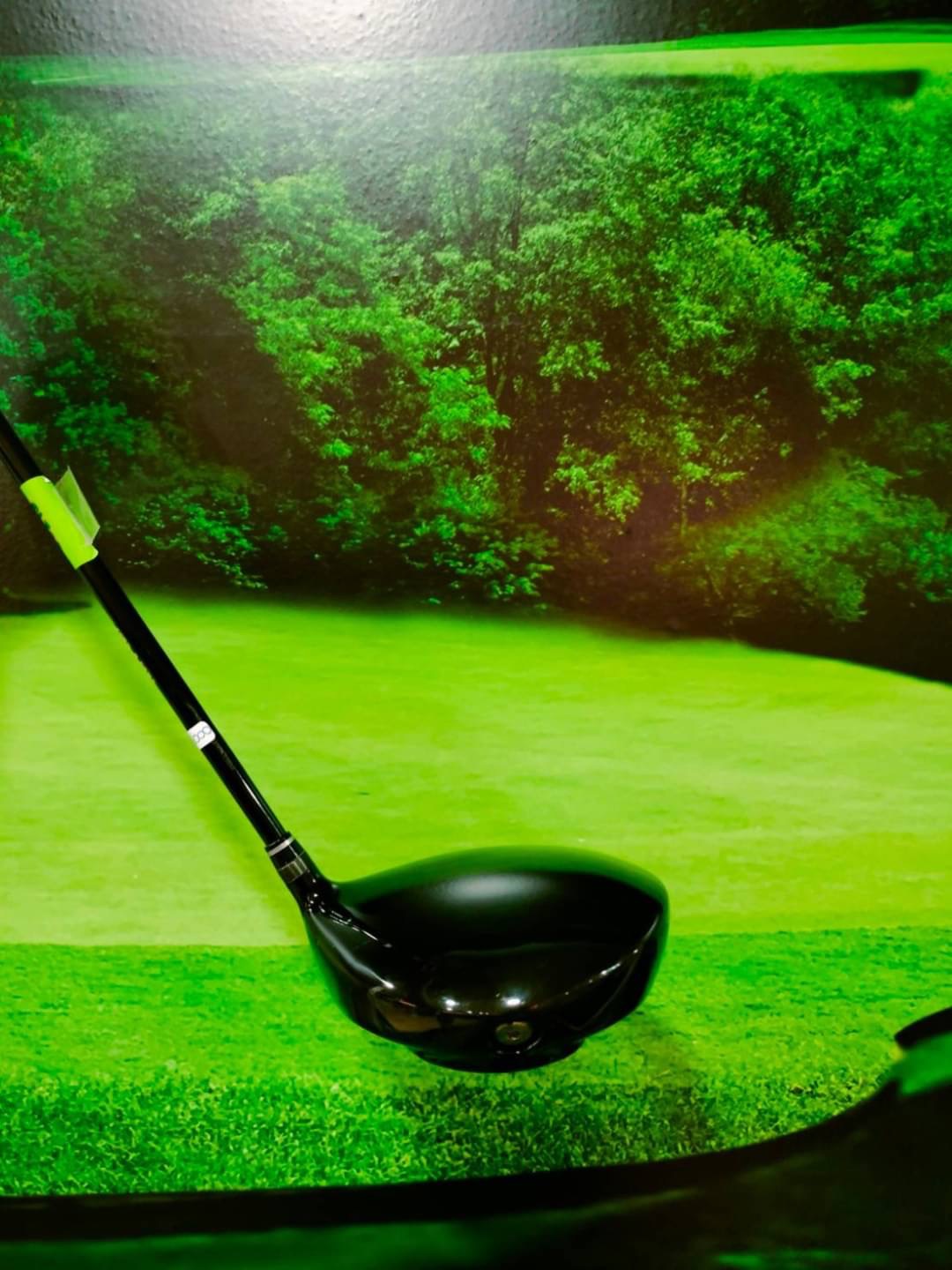 Driver Crazy CRZ460 loft 9.5 (Shaft Royal Decoration) / (flex: R)