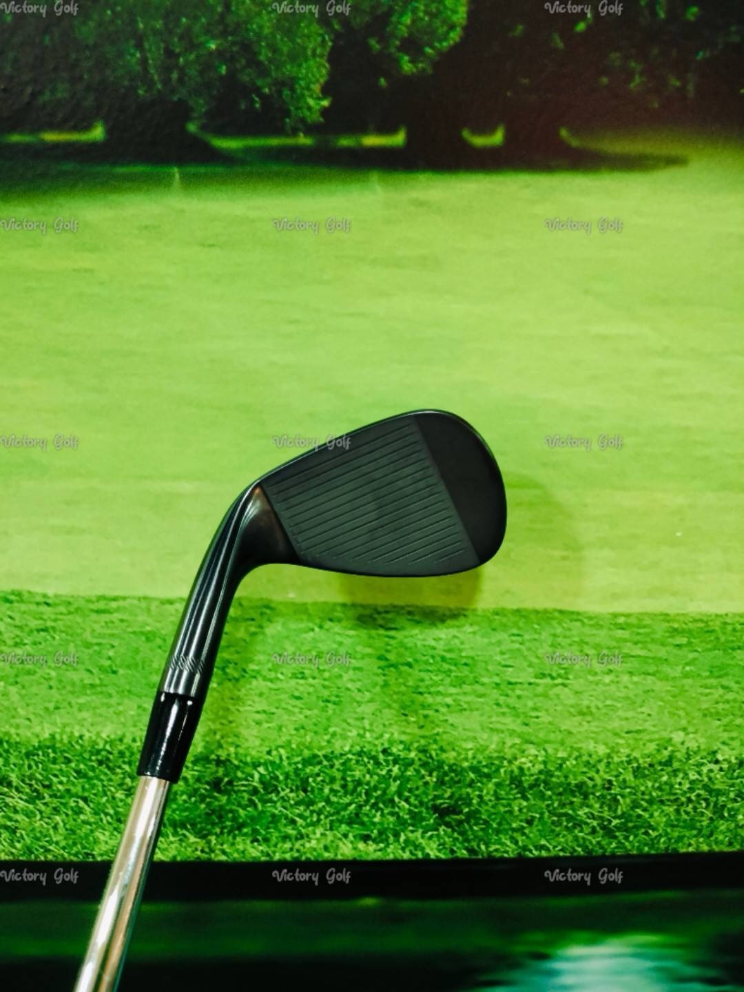 Wedge Titleist BV SM7 50/08F (S) (N.S. PRO Modus3) (Tour125)