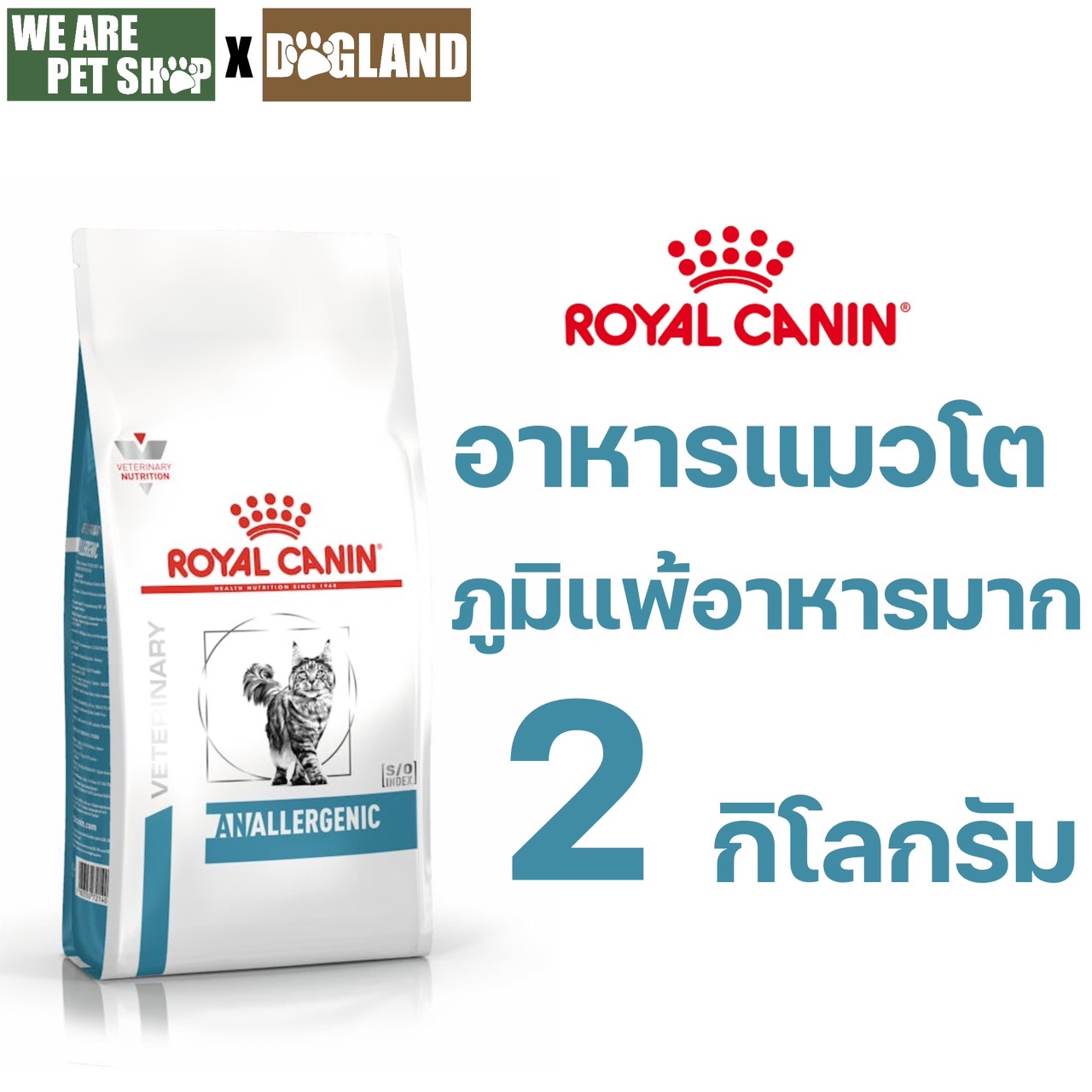 Anallergenic แมวภูมิแพ้ โรคผิวหนัง 2 กก.