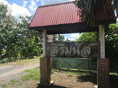 ขายที่ดินถมแล้ว เนื้อที่ 43 ไร่ 3 งาน 28 ตรว บ้านสวนสิริมนัส ต.บ่อเงิน อ.ลาดหลุมแก้ว ปทุมธานี รหัส L10