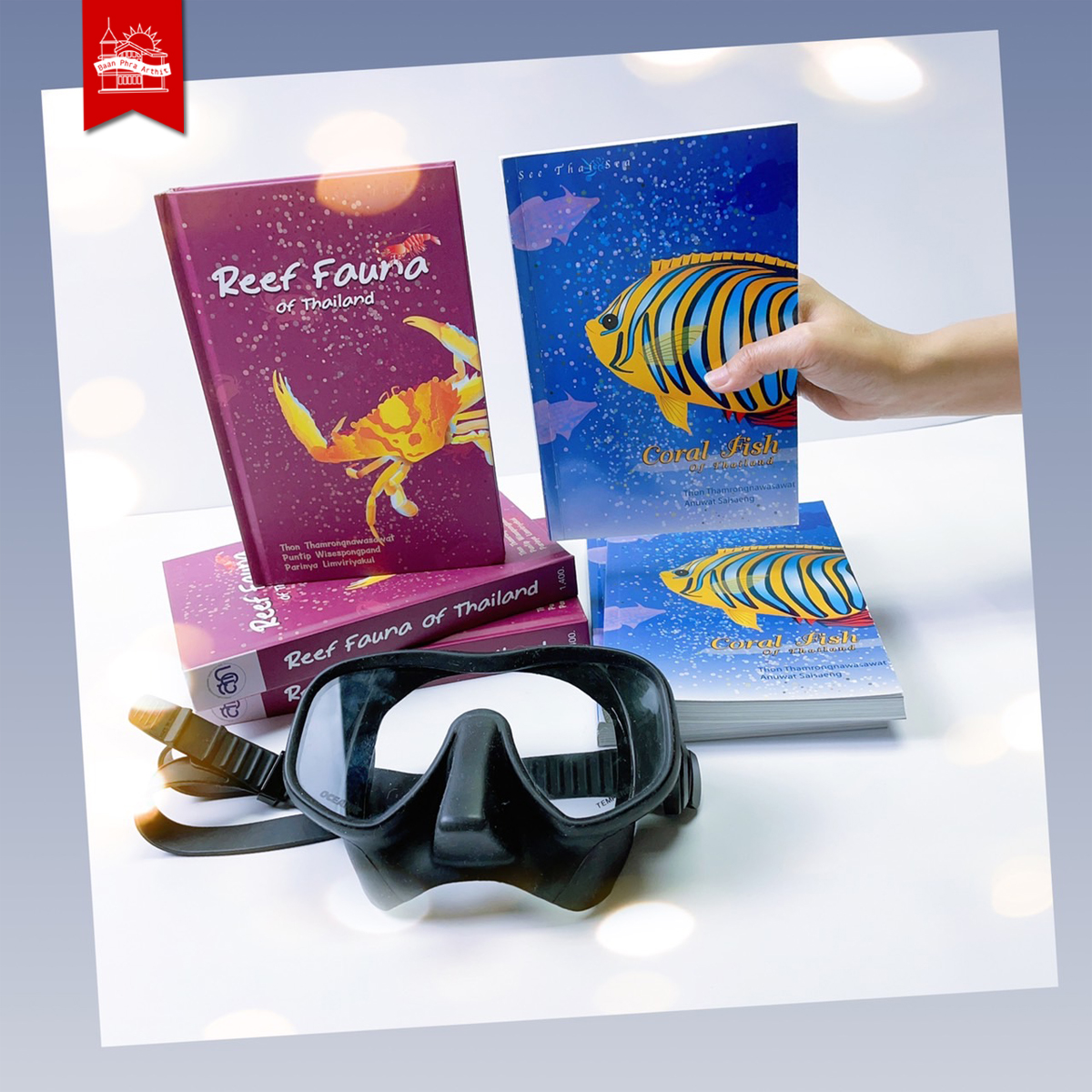 ชุด Reef Fish Set