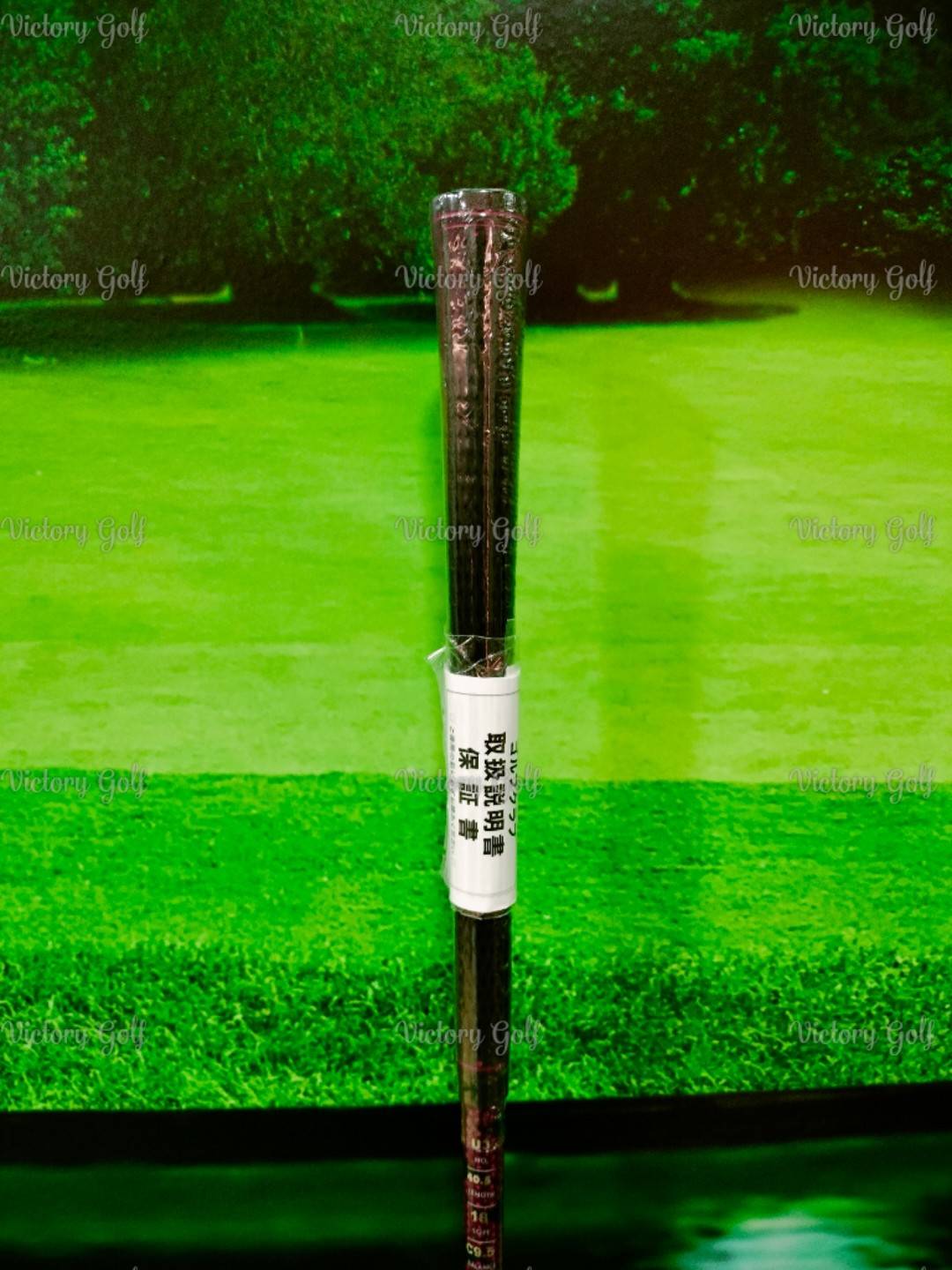 Ut. ON-OFF Model WINGS AKA 2024 U.3/18 (Flex: R)