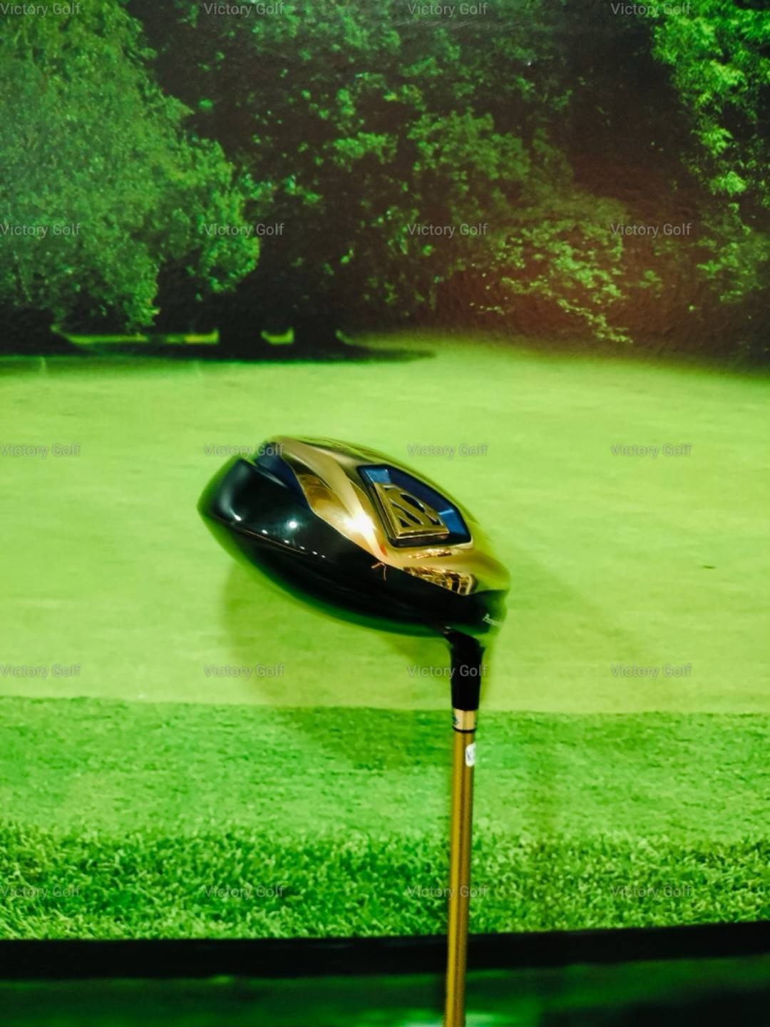 Driver Superman EGooVI 10HR 10.0 (Protec Big Blue V6) / (R)