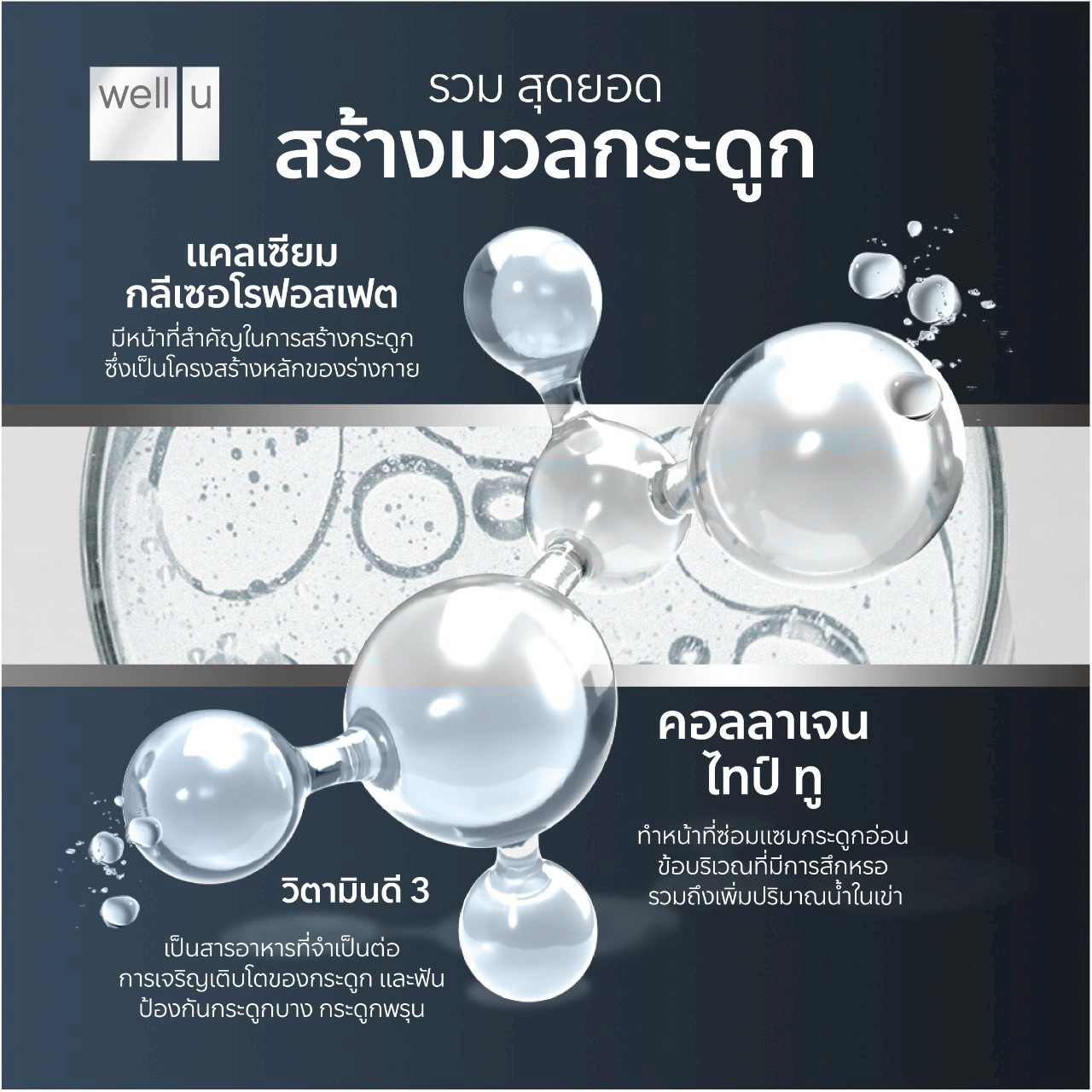 Well Advanced Collagen Type ll Plus 6 IN 1 (เวลยู แอดวานซ์ คอลลาเจน ไทป์ ทู )
