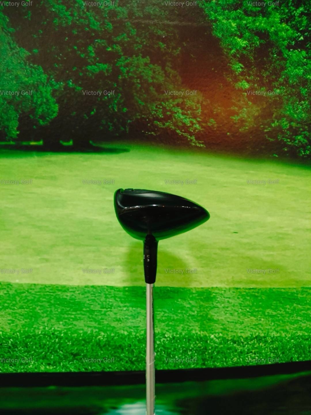 Fairway Titleist VG3 5/19 (VGF) / (R)