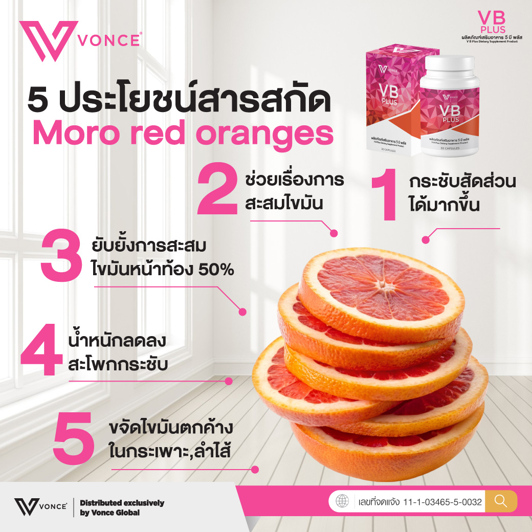 vb plus วีบี พลัส