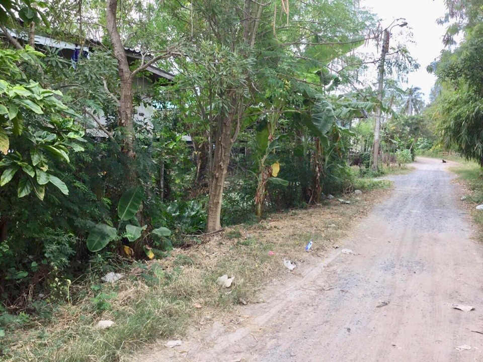 ขายที่ดินซอยนารีนคร12 บางบัวทอง(รหัสทรัพย์ 2019163) ถ.บางกรวยไทรน้อย ต.บางรักพัฒนา อ.บางบัวทอง