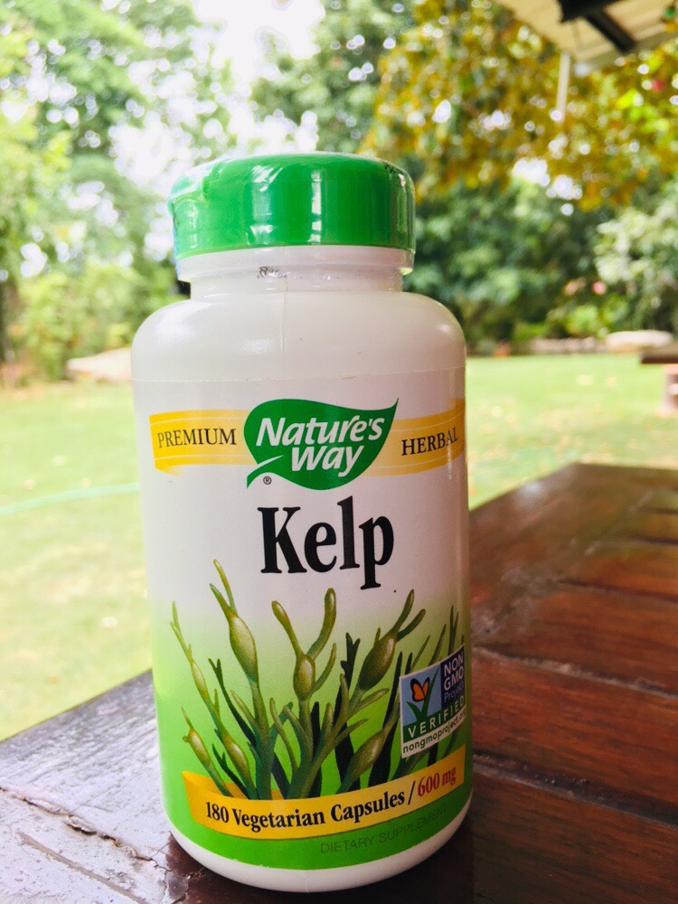 สาหร่ายเครป์ Nature's Way, Kelp, 600 mg, 180 Vegetarian Capsules (ช่วยล้างสารพิษ และลดน้ำหนัก)