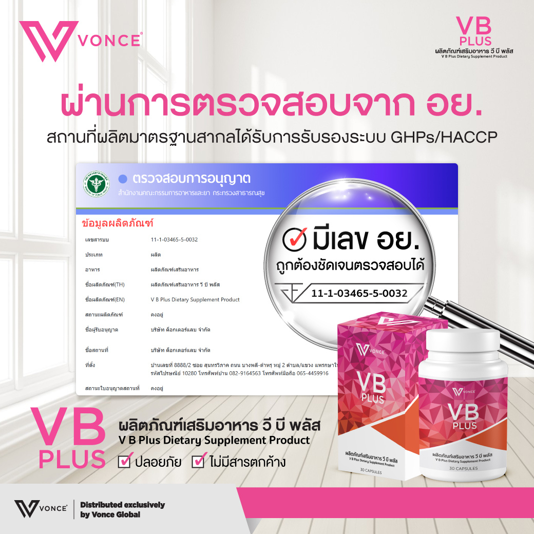 vb plus วีบี พลัส
