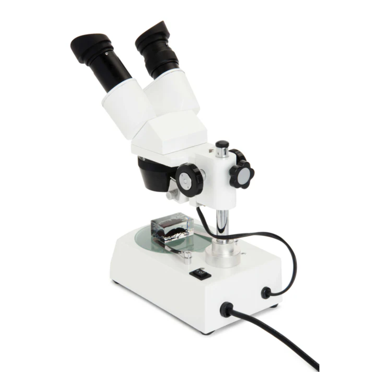 Celestron Stereo Microscope Labs S10-60