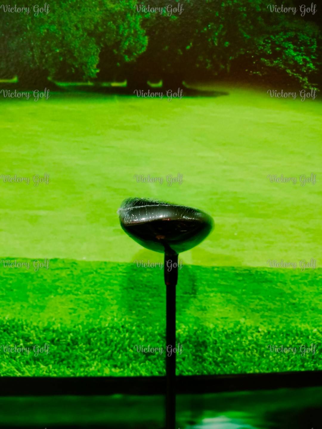 Ut. ON-OFF Model WINGS AKA 2024 U.3/18 (Flex: R)