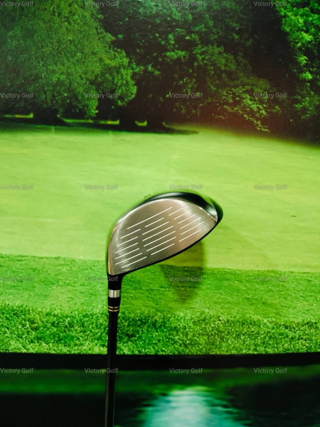 Driver Ryoma MAXIMA Type D 10.0 (Tour AD Ryoma F) / (SR)