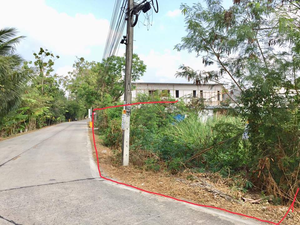 ขายที่ดินซอยบางรักน้อย9/2 (รหัสทรัพย์ 201940) ถนนราชพฤกษ์ ต.บางรักน้อย อ.เมือง จ.นนทบุรี