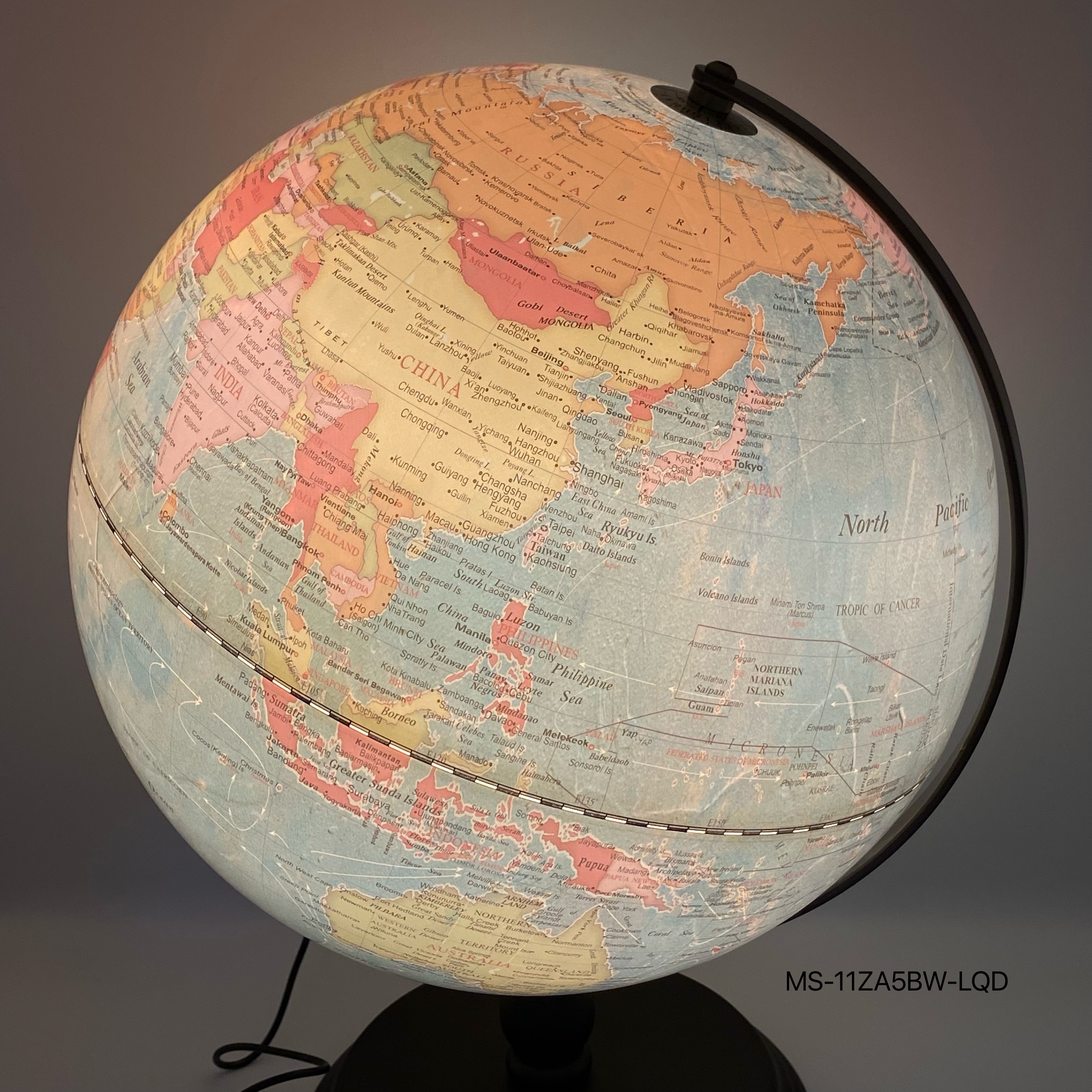 ลูกโลก MS-11ZA5BW-LQD ขนาดใหญ่