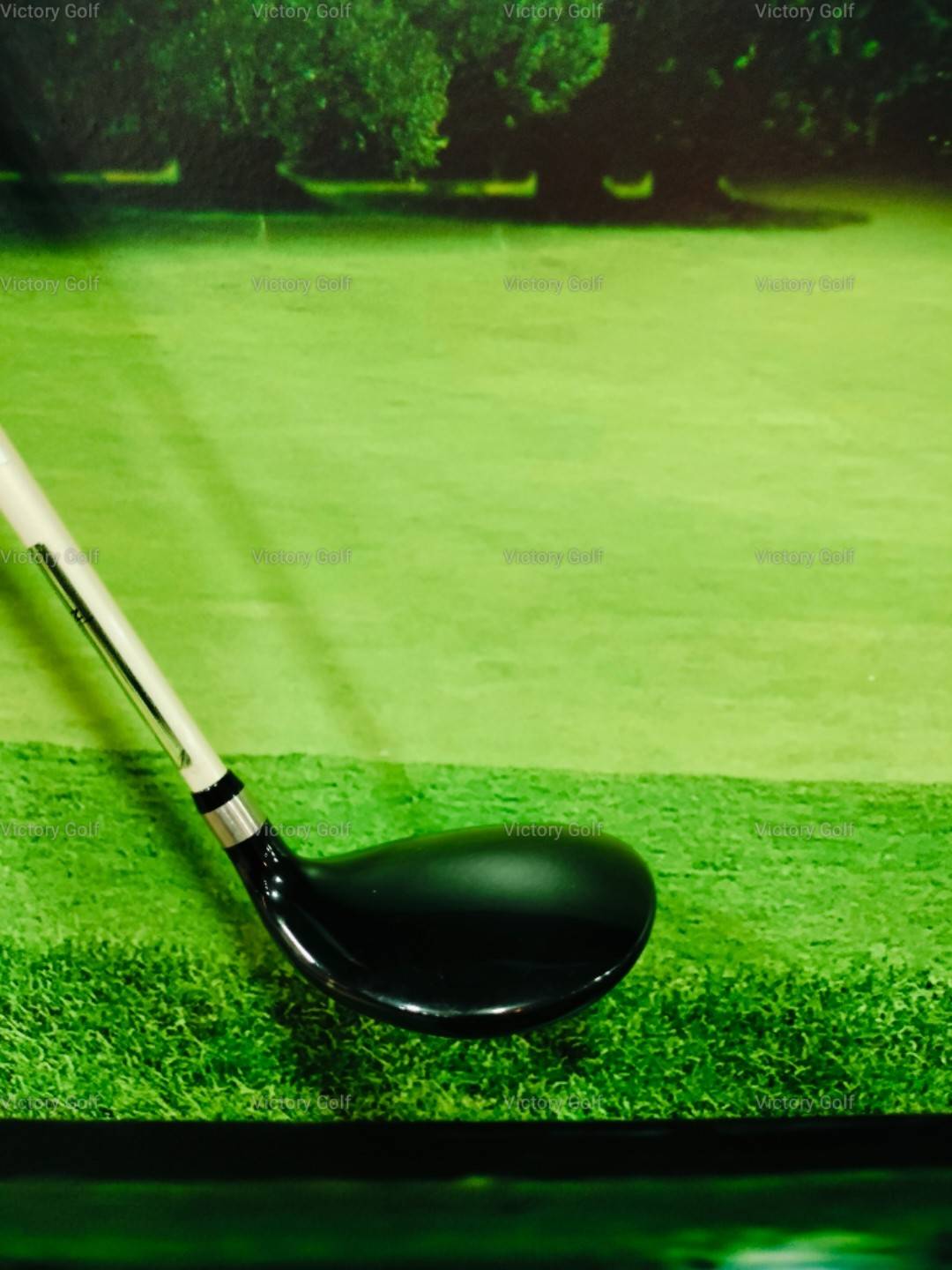 Fairway Tsuruya Goldenprix VX 7/21° (Rombax) / (R) 41"/D3/CPM246