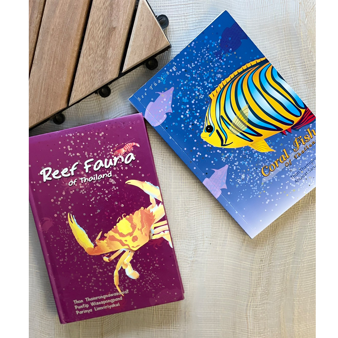 ชุด Reef Fish Set