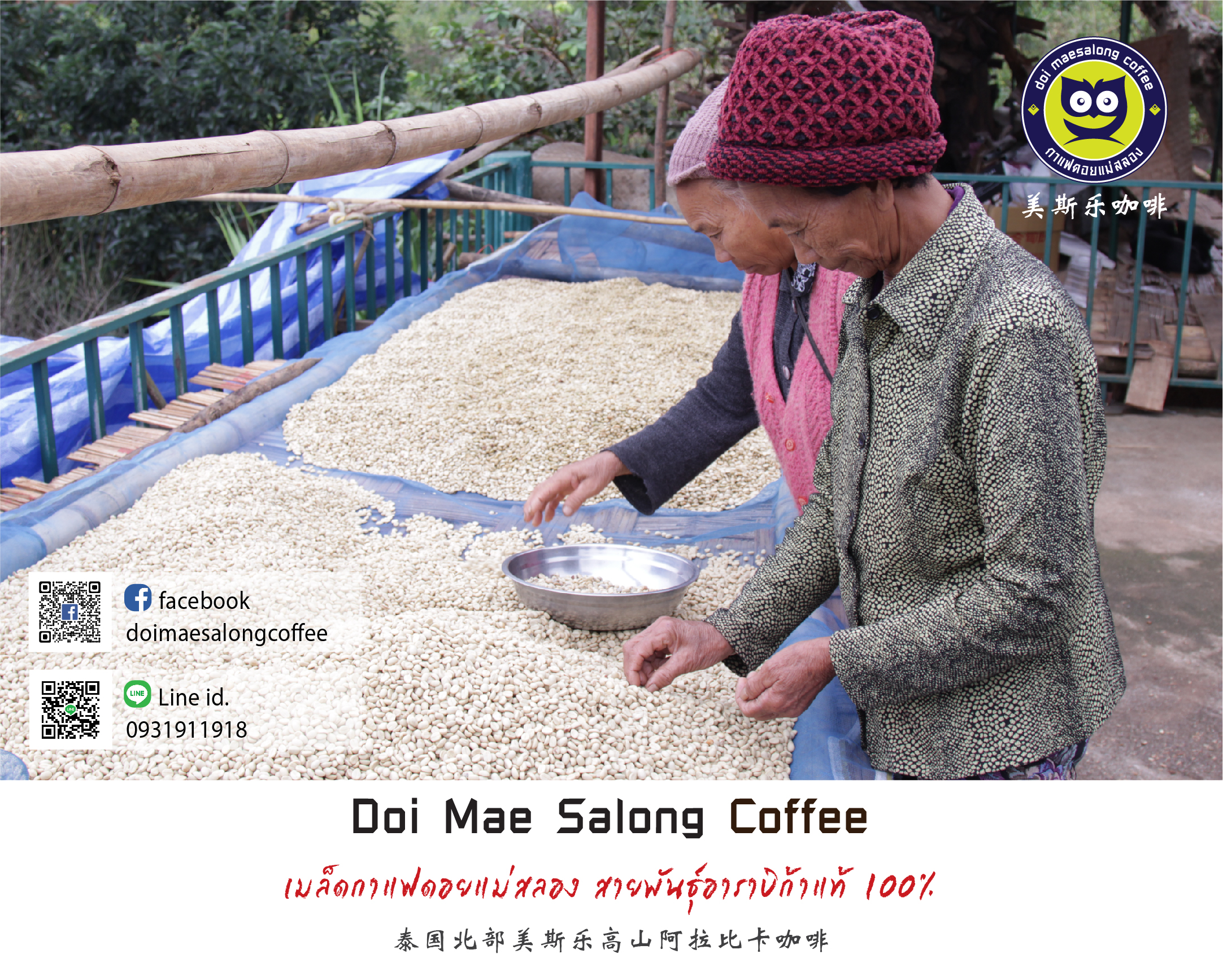 เมล็ดกาแฟคั่วกลางเข้ม เมล็ดกาแฟอาราบิก้า คุณภาพเกรดA