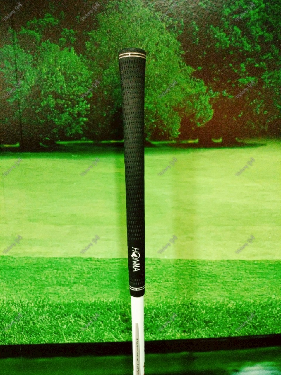 Fairway Honma Amazing Spec Perfect Switch 5/18 ( Perfect Switch )/ ( S )