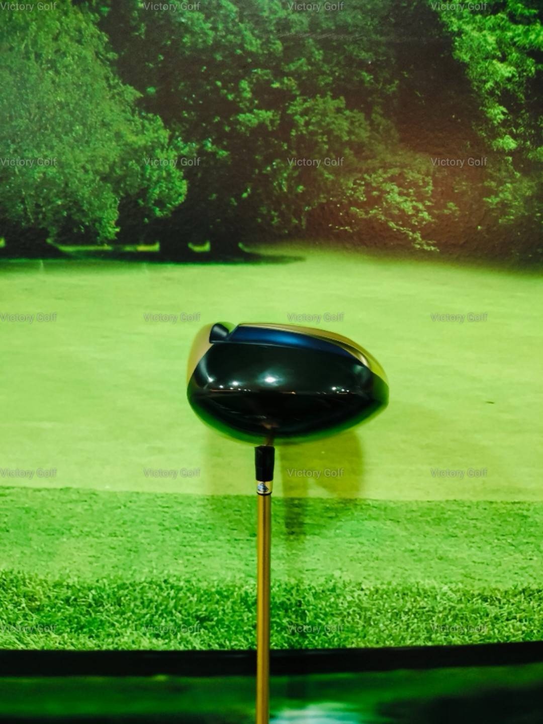 Driver Superman EGooVI 10HR 10.0 (Protec Big Blue V6) / (R)