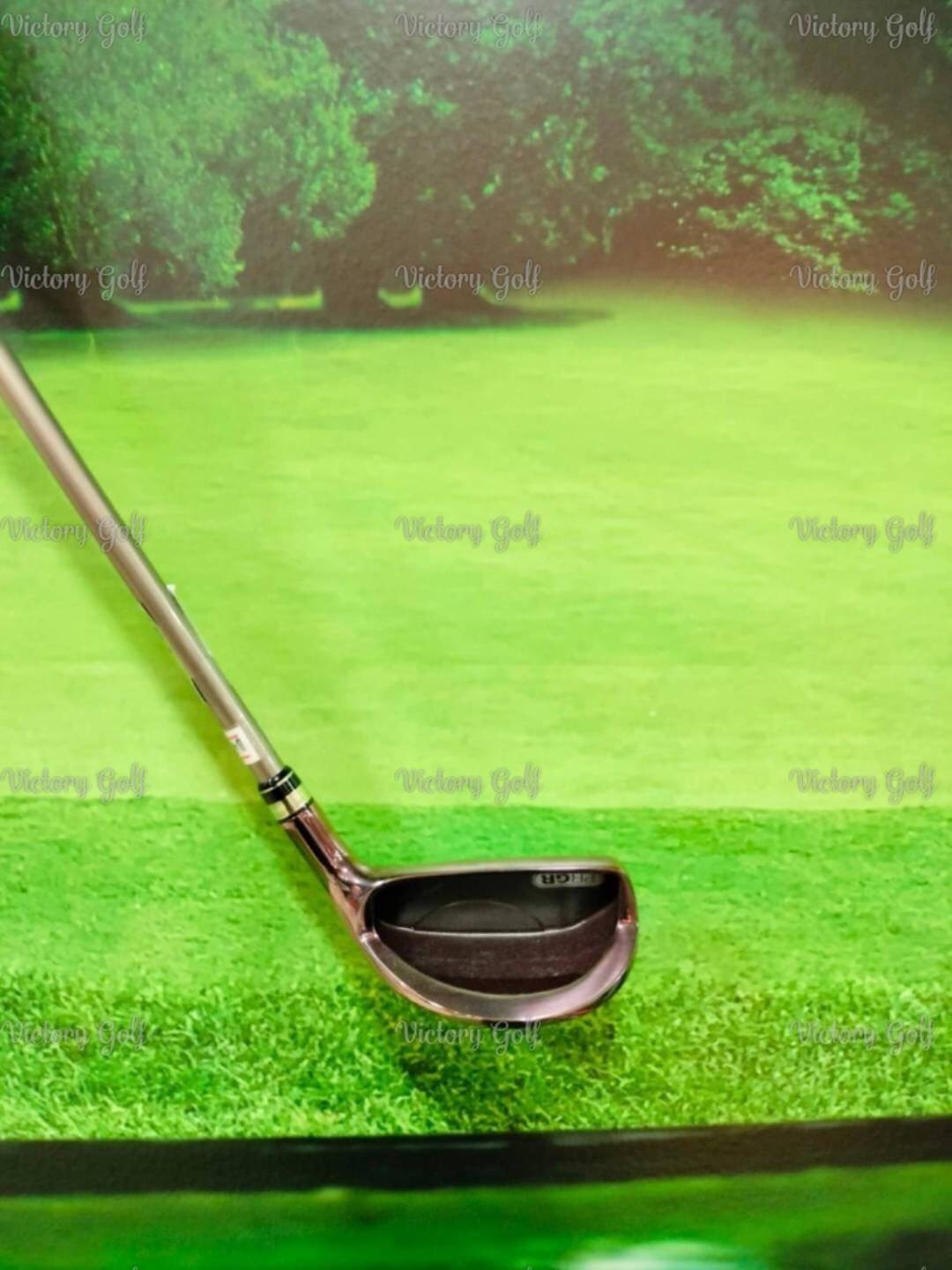 เหล็กปลีก #5 PRGR egg Loft 22 (M-30)