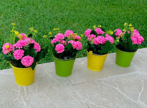 ดอกไม้ ในกระถางสังกะสีสดใส สำหรับตั้ง ตกแต่งโต๊ะทำงาน