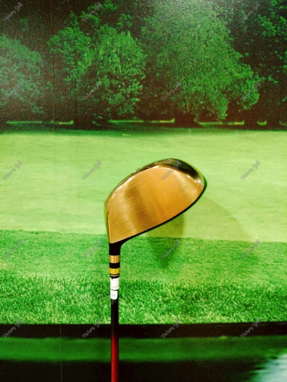 Driver Mitsubishi Honma MH488X 10.5 ( Mitsubihi Honma / SR )