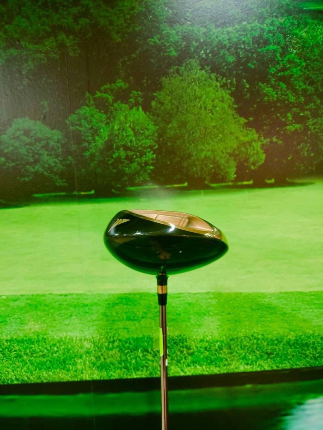 Driver Works Golf ULTIMIZER V4 PREMIA 460 CC. Loft 10.5 (Diamana Shaft) Flex:R (หน้าเด้ง)