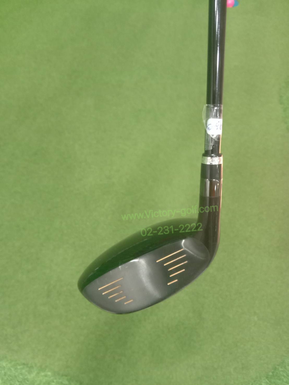 Fw.Katana Voltio Ninja α w.3 (R) Speeder 462 Evolution