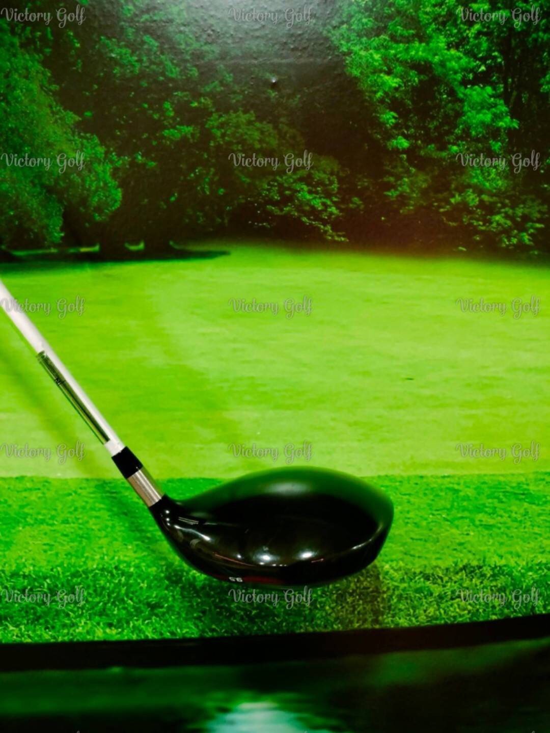 Driver Mizuno MP630 Loft 9.5 (FUBUKI 64 MTS) Flex: S