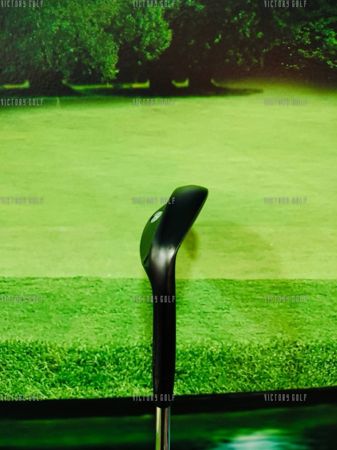 Wedge Mizuno S18 56/10 (Dynamic gold) (Flex : W-F)