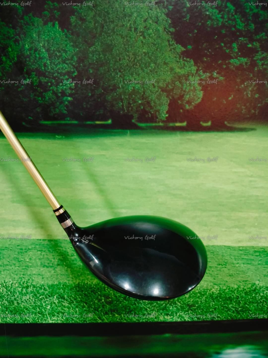 Driver Honma Beres S-05 Loft 10.5 ( ARMRQ ∞ 48g )★★ / ( (R)